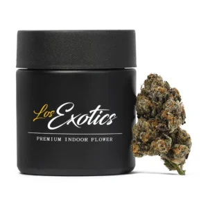 Speaker Knockers